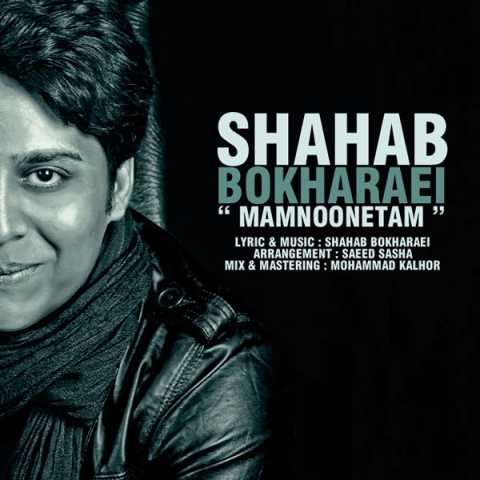 Shahab Bokharaei Mamnoonetam